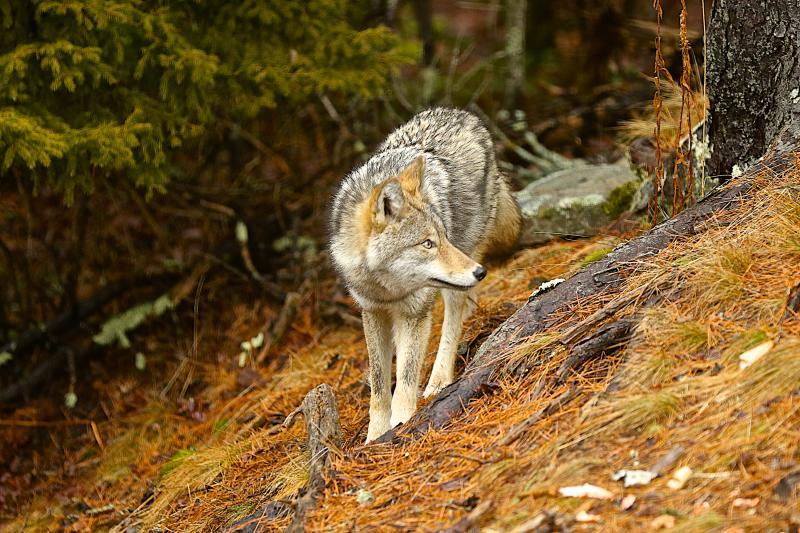 Photo by Robert Mitchell