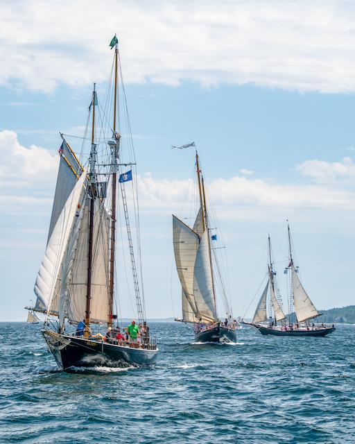  Ben Williamson photo