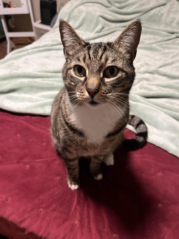 Milo 