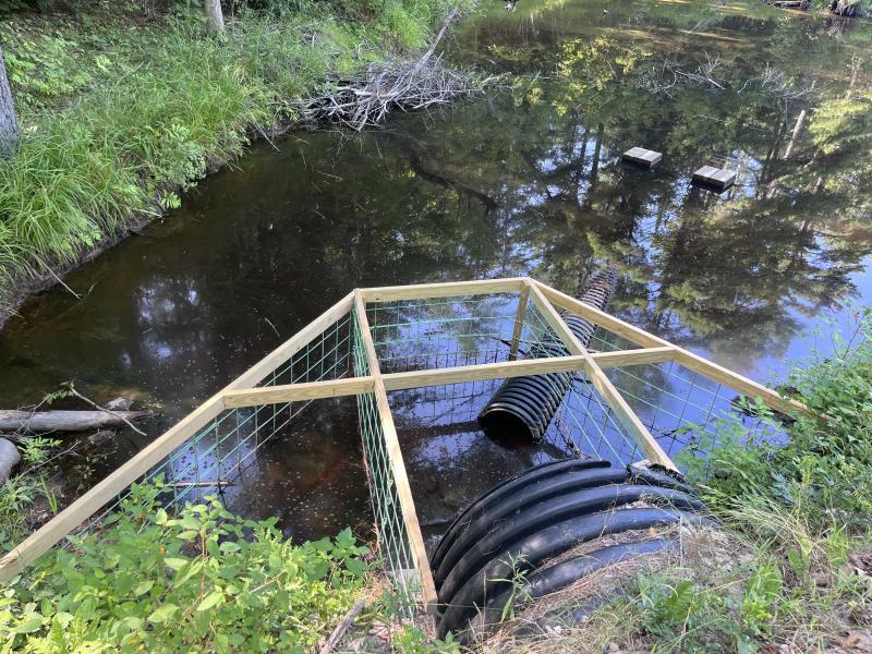 Beaver management system on Golden Ridge Road, Alna. Coreysha Lothrop photo 