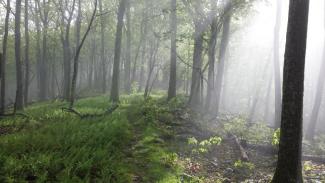Appalachian Trail