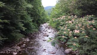 Appalachian Trail