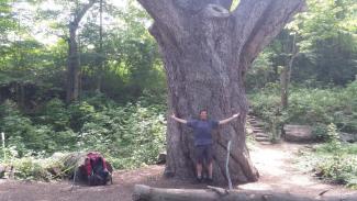 Appalachian Trail