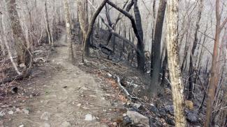 Appalachian Trail