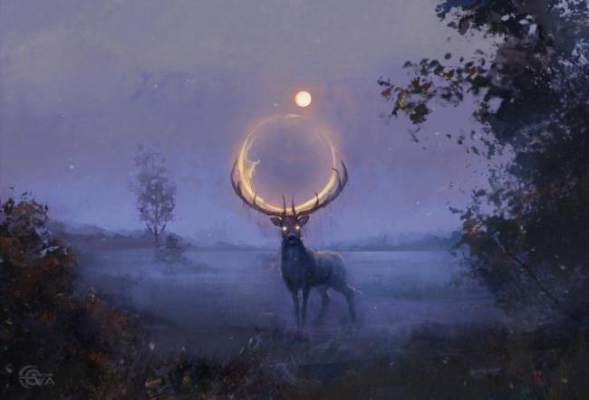 Stock Photo /unknown origin