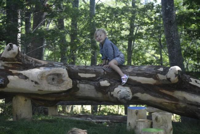 Check out the new playground at Boothbay Region Land Trust's Oak Point Farm during Field and Forest Family Fun Day July 18! Courtesy of BRLT