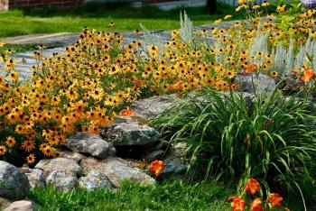 Flowers. Courtesy of Robert Mitchell