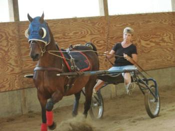 Joanne Lewis drives Patty as the two continue training for next month's show in Oklahoma. Below, Katie Yereance, left, stands with the farm's owner, Dawn Murphy. In the bottom photo, Caroline Cadorette grooms Ellie. SUSAN JOHNS/Wiscasset Newspaper Joanne Lewis drives Patty as the two continue training for next month's show in Oklahoma. SUSAN JOHNS/Wiscasset Newspaper