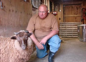 A wayward ram found refuge with Terry Garner, pictured, and Garner's wife Sandy in Alna. SUSAN JOHNS/Wiscasset Newspaper