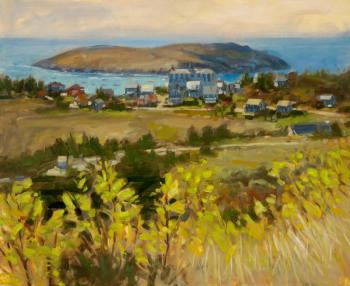"Bird's eye view, Monhegan," oil, 36 by 44 inches. Courtesy of Gleason Fine Art