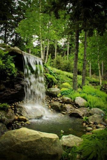 "Utopia," by Doris “Dodie” Wible.  Wible's photo is one of many taken at Coastal Maine Botanical Gardens that make up an exhibit of scenes captured by the gardens’ photography club members. The photos will be exhibited until October 16. 