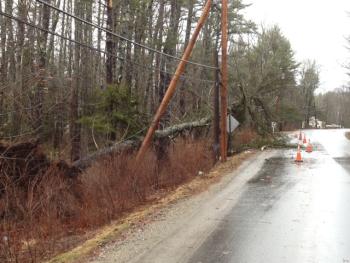 Downed tree on Back River Road in Boothbay. SUE MELLO/Boothbay Register, Wiscasset Newspaper Downed tree on Back River Road in Boothbay. SUE MELLO/Boothbay Register, Wiscasset Newspaper