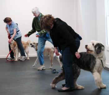 May Mitchell, foreground, with her Old English Sheepdog, Bernie, of Alna; Nancy Holmes, center, with her Carolina breed of dog, Bammy, of Newcastle; and, in the back, are Kim Odell and her Golden Retriever, Rufus, of Bath. SUSAN JOHNS/Wiscasset Newspaper