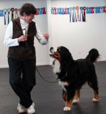 Barb Gibson of Edgecomb does some fancy stepping with Tugboat, her American Kennel Club breed champion Bernese Mountain Dog. SUSAN JOHNS/Wiscasset Newspaper