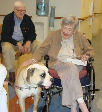 Bob and Jana Beattie, residents of the Lincoln Home, enjoy a few minutes greeting 15-month-old Millie during the dog therapy preparation course led by dog trainer Jean Conte April 4. LISA KRISTOFF/Boothbay Register Bob and Jana Beattie, residents of the Lincoln Home, enjoy a few minutes greeting 15-month-old Millie during the dog therapy preparation course led by dog trainer Jean Conte April 4. LISA KRISTOFF/Boothbay Register