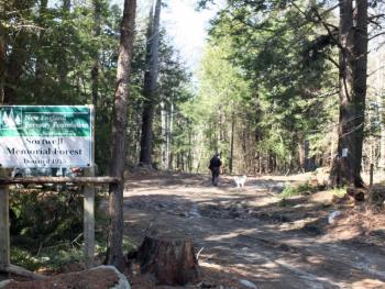 Entrance to the Sortwell Pines trail network. JOHN MAGUIRE/Wiscasset Newspaper