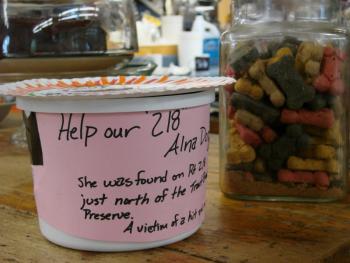 The Alna Store set up this donation canister for the injured dog. SUSAN JOHNS/Wiscasset Newspaper