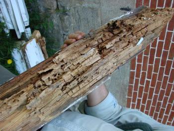 One of three rotting posts replaced on the cupola of the 1807 building. SUSAN JOHNS/Wiscasset Newspaper One of three rotting posts replaced on the cupola of the 1807 building. SUSAN JOHNS/Wiscasset Newspaper