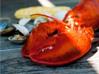 Want lobster? Get your tickets today for the second annual Claw Down on September 19. Courtesy of Ted Axelrod