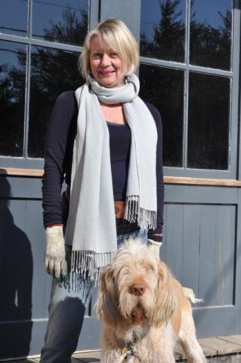 flowers new business newcastle maine spinone
