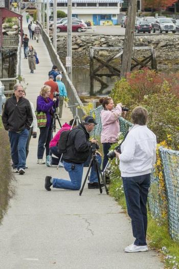 Participants in the 2013 Photo Walk shoot some scenes from the east of the footbridge in Boothbay Harbor. Courtesy of Michael Leonard