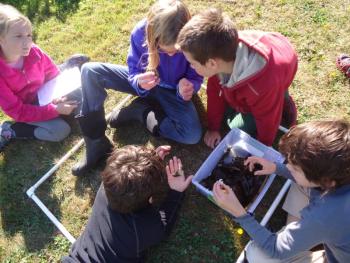 Using a meter-square quadrat used to find invasive species, Lexi Haedrich of Wiscasset is poised to record more data, while Emma Collins of Woolwich and Griffin Bannon of Woolwich use the Vital Signs invasive species cards to figure out if they found a green crab. Dae Kent of Woolwich and Marcus Russano of Jefferson examine the shell of another crab. Courtesy of Center for Teaching and Learning