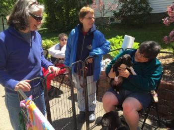 Cheryl Dilts, Donna Ray, Linda Gervais