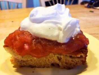 Sour cream rhubarb cake with warm rhubarb sauce and whipped cream is, like, totally awesome. SUZI THAYER/Boothbay Register