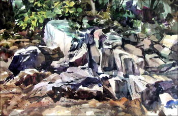 Tony van Hasselt