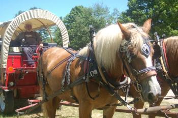 Horse and cart rides by Hideaway Farm. ART MAYERS/Wiscasset Newspaper