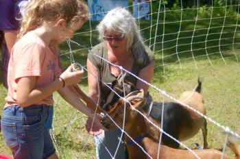 Soleil Moody feeds Marshmellow, owned by Allison Brown of Dresden. ART MAYERS/Wiscasset Newspaper