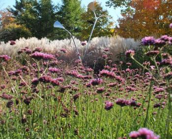 Lovely scenics at every turn. LISA KRISTOFF/Boothbay Register Coastal Maine Botanical Gardens