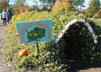 The tunnel entrance. LISA KRISTOFF/Boothbay Register The Great Pumpkin Hunt at Coastal Maine Botanical Gardens Oct. 20.