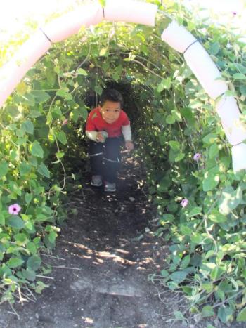 Here comes a boy caterpillar! LISA KRISTOFF/Boothbay Register The Great Pumpkin Hunt at Coastal Maine Botanical Gardens Oct. 20.