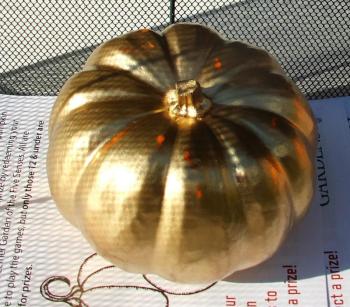 One of the golden pumpkins previously hidden for the Great Pumpkin Hunt. LISA KRISTOFF/Boothbay Register Coastal Maine Botanical Gardens