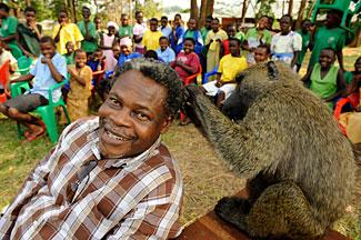 Mwalimu Musheshe being groomed by one of his fans, a baboon, to the delight of his students. Courtesy of URDT Mwalimu Musheshe