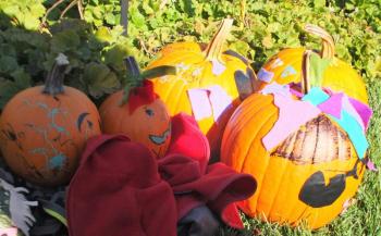Pumpkins with personality. LISA KRISTOFF/Boothbay Register Coastal Maine Botanical Gardens