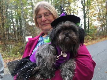Alna resident Teresa Williams’ shih tzu Diva is pretty in purple as a witch for Trick or Treat Street in Alna Oct. 28. SUSAN JOHNS/Wiscasset Newspaper