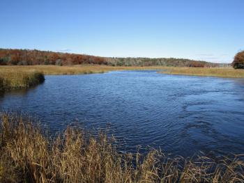 Looking north from Route 1 at Back River Creek. PHIL DI VECE/Wiscasset Newspaper