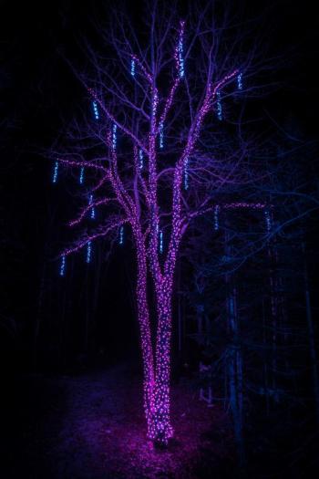 Mike Leonard photo