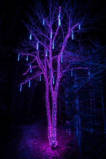 Mike Leonard photo