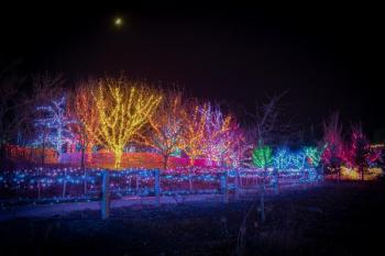 Mike Leonard photo