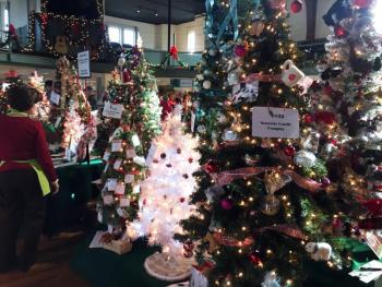 Festival of Trees ... a.k.a. the Magical Forest! File photo