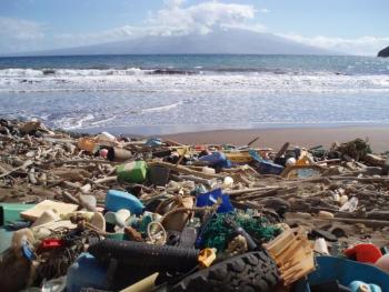 Litter such as plastic detergent bottles, crates, buoys, combs, and water bottles blanket Kanapou Bay, on the Island of Kaho'olawe in Hawaii. This region is a hot-spot for marine debris accumulation. Because of its remote location, removal is difficult, resulting in beaches that look more like a landfill. Courtesy of NOAA