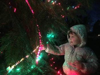 Savannah Robinson, 3, of Alna checks out the newly lit tree on the Wiscasset Common Dec. 1. SUSAN JOHNS/Wiscasset Newspaper