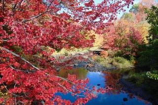 Judy Eastwood photo
