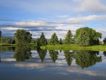 Debbie Locke photo