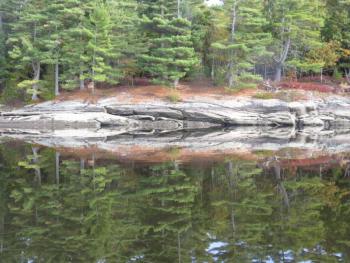 Debbie Locke photo