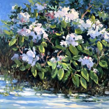 Keith Oehmig’s, “Rhododendron” oil on panel, 24” x 24” is one of the contemporary works by New England painters in the opening show at Wiscasset Bay Gallery. Courtesy of the venue Keith Oehmig