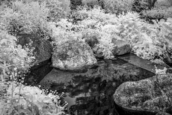 Martin Grassie photo